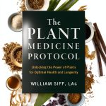 Herbal Remedies for Antioxidants & Phytochemicals by Artisan-0